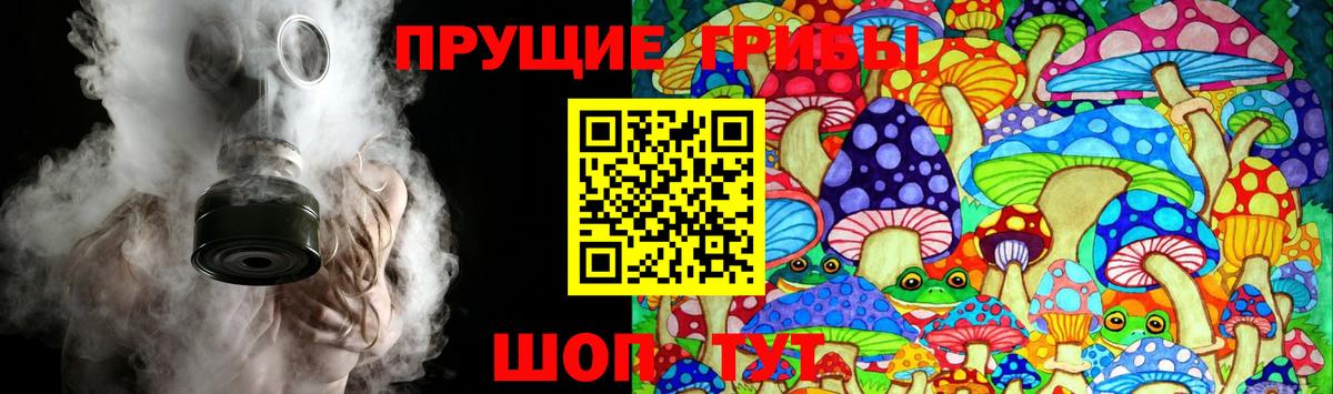 Галлюциногенные грибы Psilocybe  Вход с VPN  Бугульма  Галлюциногенные грибы ЛСД 